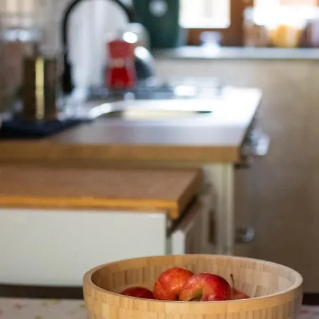 Tatil Evi The House In Verzimo