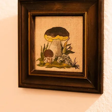 The House In Verzimo