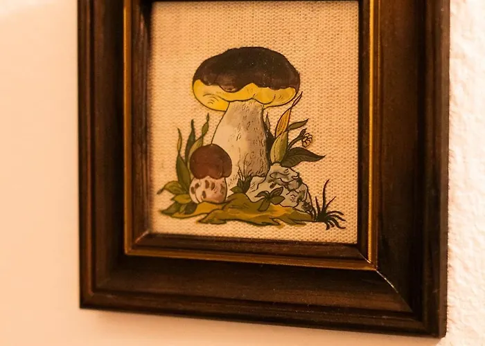 The House In Verzimo